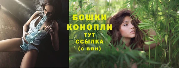 ГАЛЛЮЦИНОГЕННЫЕ ГРИБЫ Магас