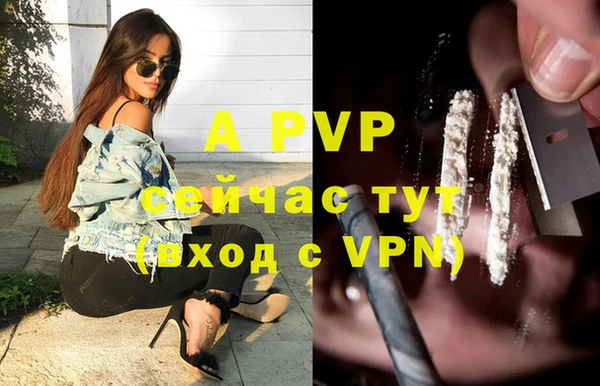 ГАЛЛЮЦИНОГЕННЫЕ ГРИБЫ Магас