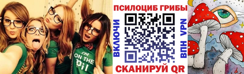 Псилоцибиновые грибы ЛСД  Купить где  Новоалтайск 